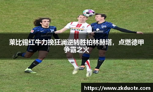MILE米乐官方网站