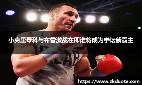 小克里琴科与布雷激战在即谁将成为拳坛新霸主