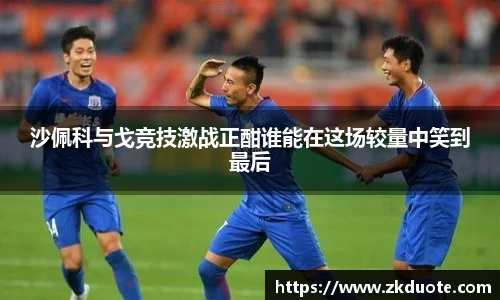沙佩科与戈竞技激战正酣谁能在这场较量中笑到最后